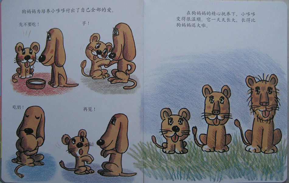 温情的狮子 (06),绘本,绘本故事,绘本阅读,故事书,童书,图画书,课外阅读